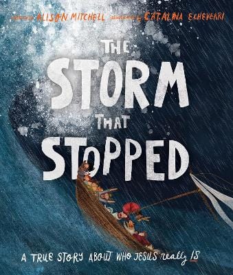 Alison Mitchell: The Storm That Stopped Storybook [2015] hardback