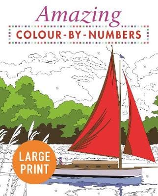 Arcturus: Amazing Colour-by-Numbers Large Print [2019] paperback