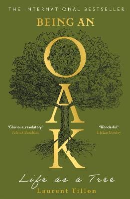 Tillon Laurent: Being an Oak [2026]
