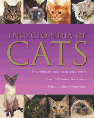Cats [2008] paperback