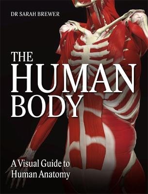 Dr Sarah Brewer: The Human Body [2011] hardback