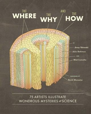 Jenny Volvovski: The Where Why, and the How [2012] hardback