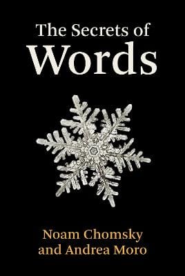 Noam Chomsky: The Secrets of Words [2022] hardback