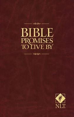 Ron Beers: Bible Promises To Live By [2007] paperback