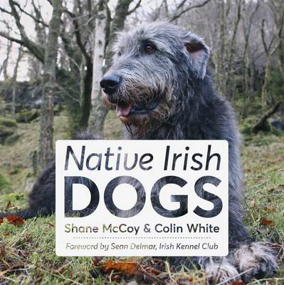 Shane McCoy: Native Irish Dogs [2015]