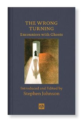 Stephen Johnson: The Wrong Turning [2021]
