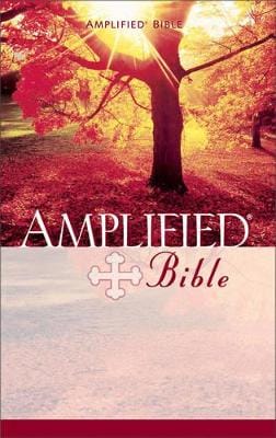 Zondervan: Amplified Bible, Paperback [1993] paperback